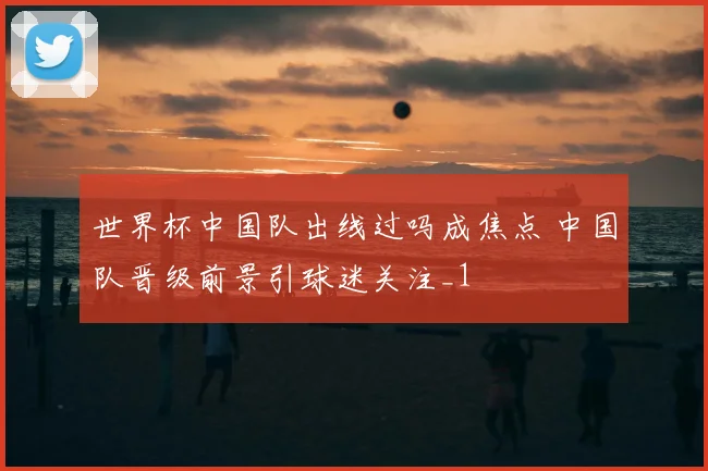 世界杯中国队出线过吗成焦点 中国队晋级前景引球迷关注_1