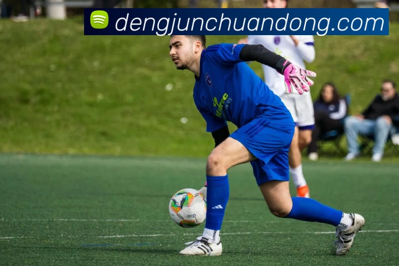 世界杯官方网络平台平台生态图